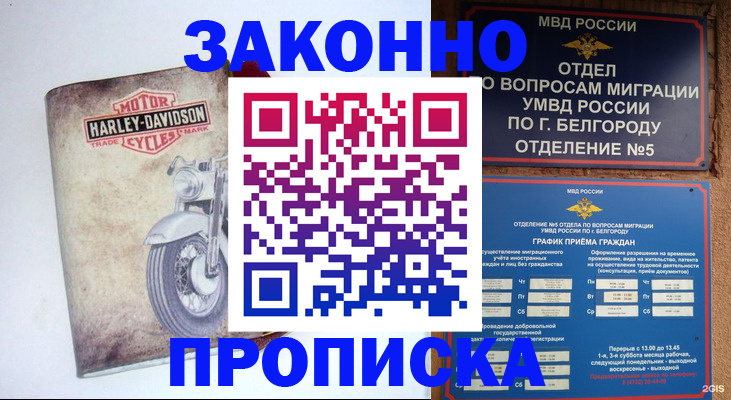 прописка для школы в Новодвинске